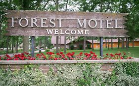 Forest Motel And Woodland Retreat Stratford